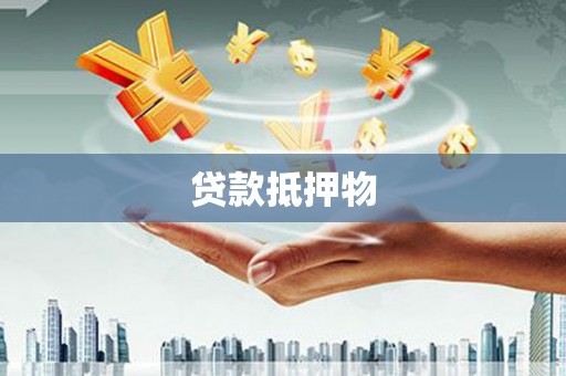 留坝贷款抵押物