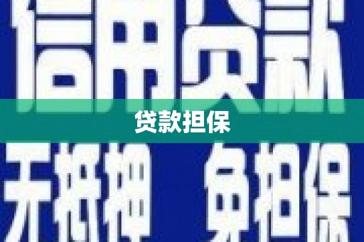 留坝贷款担保