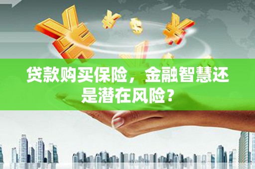 留坝贷款购买保险，金融智慧还是潜在风险？