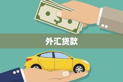 留坝外汇贷款
