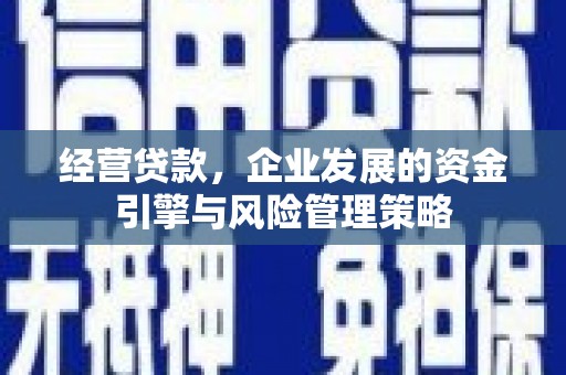 留坝经营贷款，企业发展的资金引擎与风险管理策略