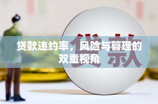留坝贷款违约率，风险与管理的双重视角