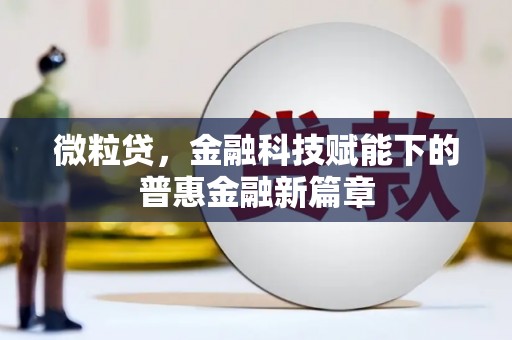 留坝微粒贷，金融科技赋能下的普惠金融新篇章