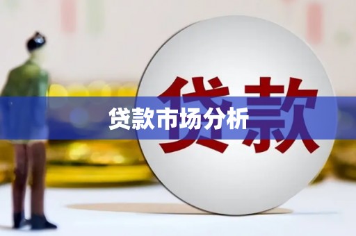 留坝贷款市场分析