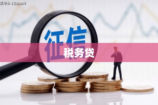 留坝税务贷