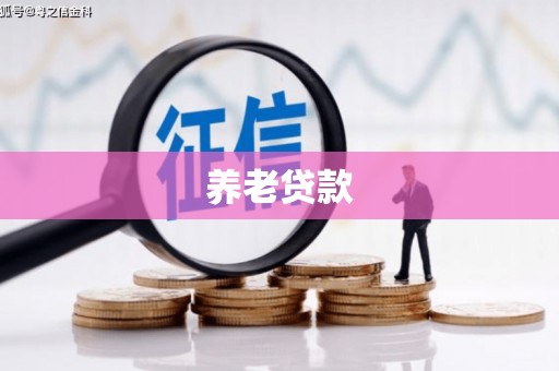 留坝养老贷款