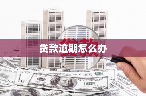 留坝贷款逾期怎么办