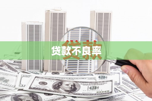 留坝贷款不良率