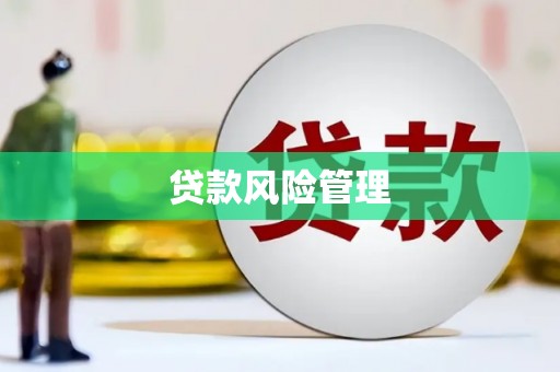 留坝贷款风险管理