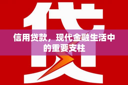 留坝信用贷款，现代金融生活中的重要支柱