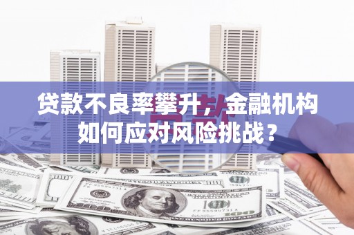留坝贷款不良率攀升，金融机构如何应对风险挑战？
