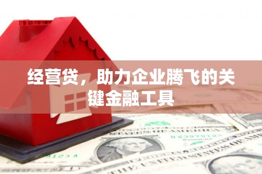 留坝经营贷，助力企业腾飞的关键金融工具
