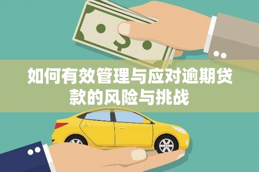 留坝如何有效管理与应对逾期贷款的风险与挑战