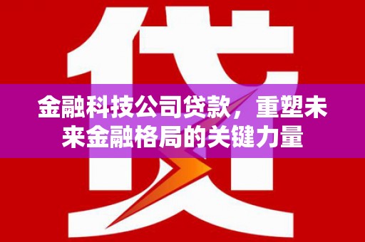留坝金融科技公司贷款，重塑未来金融格局的关键力量