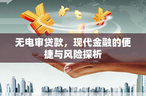 留坝无电审贷款，现代金融的便捷与风险探析