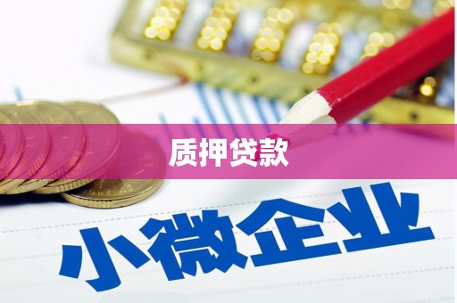 留坝质押贷款