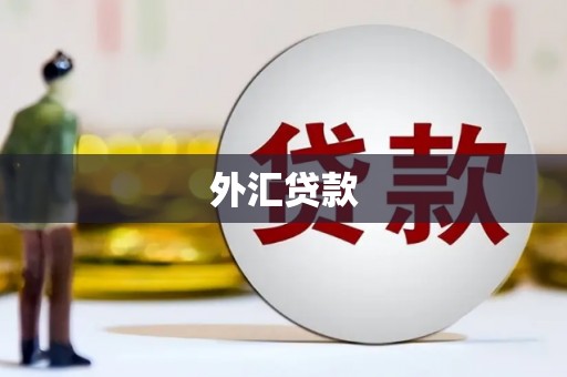 留坝外汇贷款