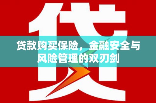 留坝贷款购买保险，金融安全与风险管理的双刃剑