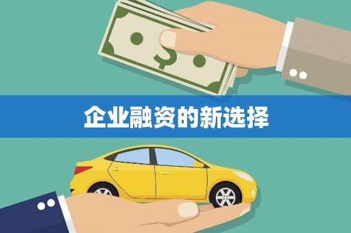 留坝企业融资的新选择