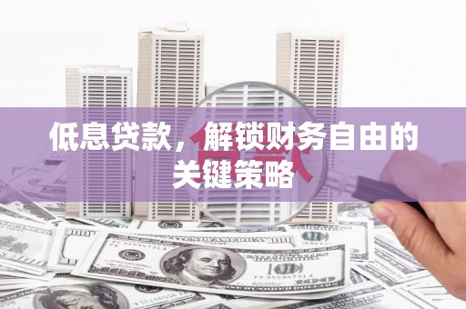 留坝低息贷款，解锁财务自由的关键策略