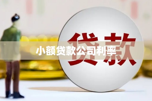 留坝小额贷款公司利率