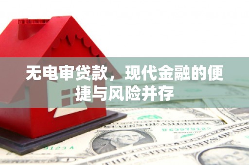 留坝无电审贷款，现代金融的便捷与风险并存