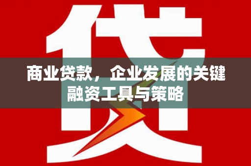留坝商业贷款，企业发展的关键融资工具与策略