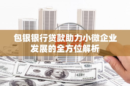 留坝包银银行贷款助力小微企业发展的全方位解析