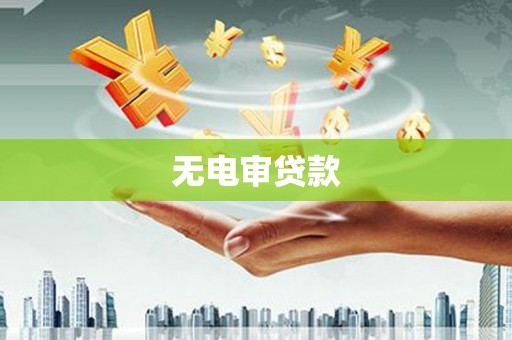 留坝无电审贷款