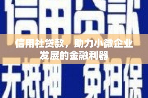 留坝信用社贷款，助力小微企业发展的金融利器