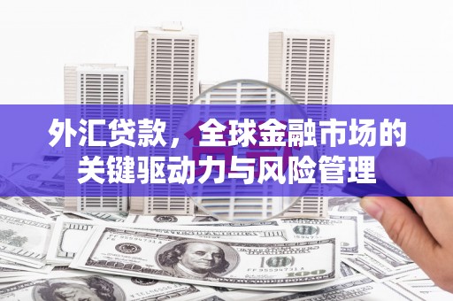 留坝外汇贷款，全球金融市场的关键驱动力与风险管理