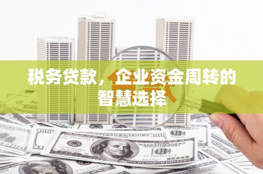 留坝税务贷款，企业资金周转的智慧选择