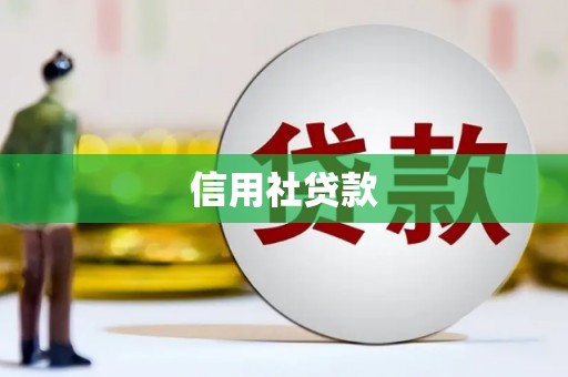 留坝信用社贷款