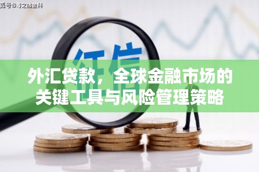 留坝外汇贷款，全球金融市场的关键工具与风险管理策略