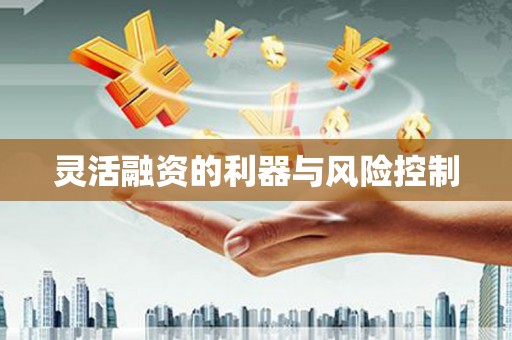 留坝灵活融资的利器与风险控制