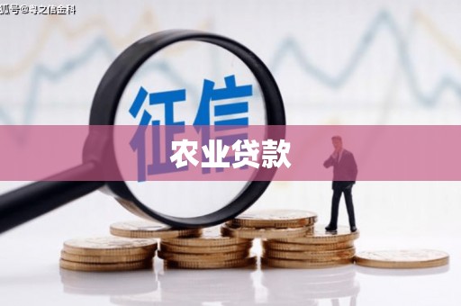 留坝农业贷款