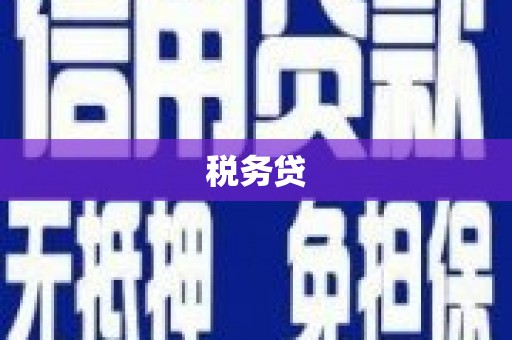 留坝税务贷