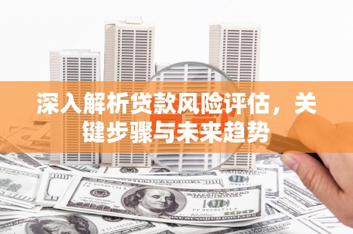 留坝深入解析贷款风险评估，关键步骤与未来趋势