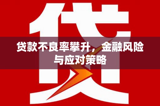 留坝贷款不良率攀升，金融风险与应对策略