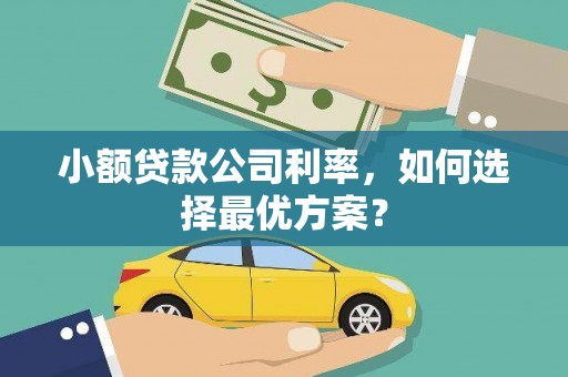 留坝小额贷款公司利率，如何选择最优方案？