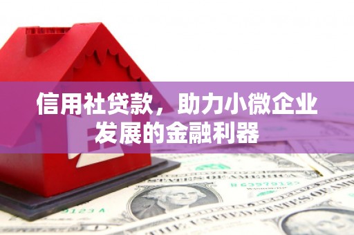 留坝信用社贷款，助力小微企业发展的金融利器