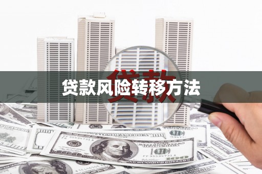 留坝贷款风险转移方法