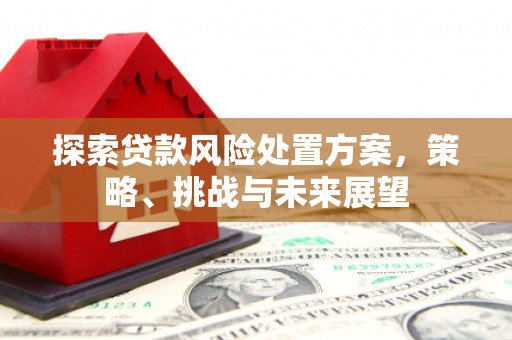 留坝探索贷款风险处置方案，策略、挑战与未来展望