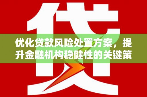 留坝优化贷款风险处置方案，提升金融机构稳健性的关键策略