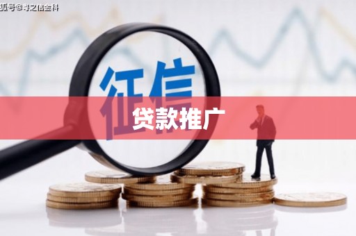 留坝贷款推广