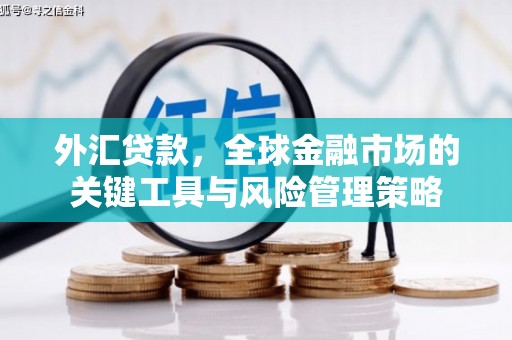 留坝外汇贷款，全球金融市场的关键工具与风险管理策略