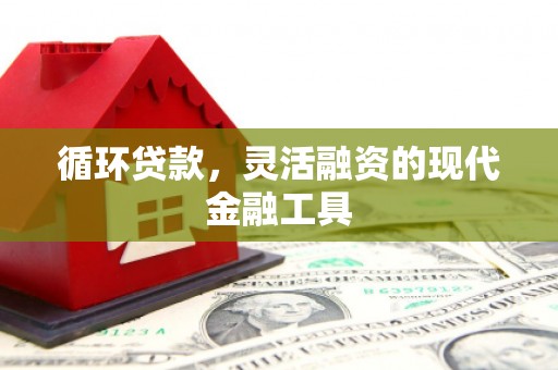 留坝循环贷款，灵活融资的现代金融工具