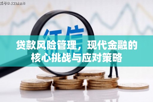 留坝贷款风险管理，现代金融的核心挑战与应对策略