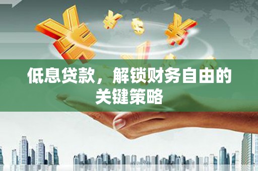 留坝低息贷款，解锁财务自由的关键策略