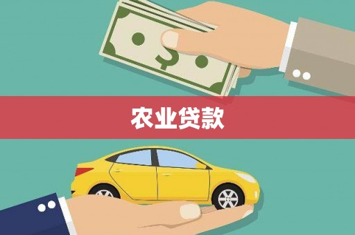 留坝农业贷款